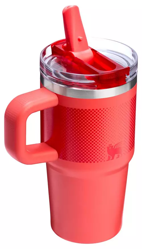 Stanley 20 oz. Quencher ProTour Flip Straw Tumbler