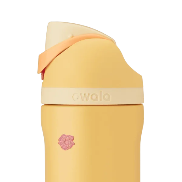 Owala FreeSip Insulated Water Bottle Disney Princess Collection 24 oz- Rapunzel