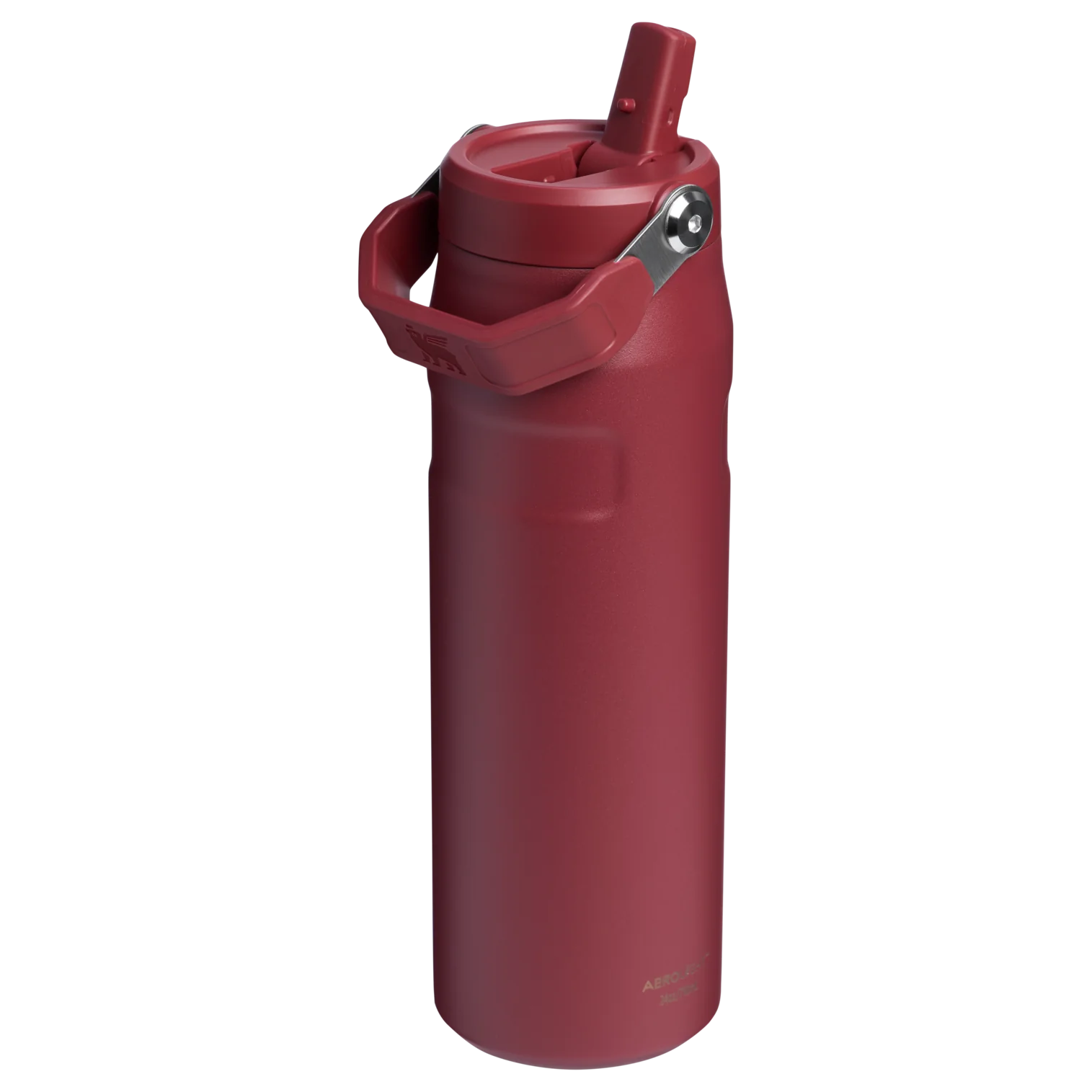 The Holiday IceFlow™ Bottle with Flip Straw Lid | 24 OZ